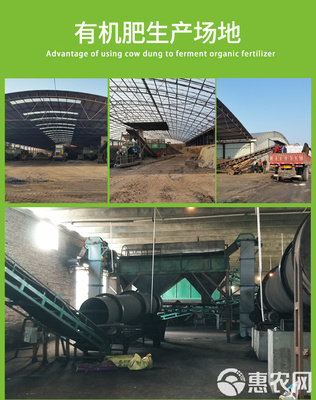 腐熟發酵雞糞有機肥 生物有機肥料研發的創新與實踐