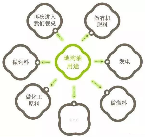 從“地溝油”到綠色未來 環(huán)保水性漆與生物有機(jī)肥料的創(chuàng)新之路