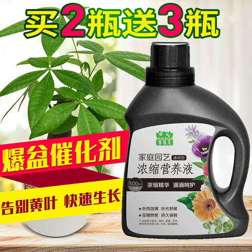 營養(yǎng)液、花肥料與生物有機(jī)肥 盆栽綠蘿養(yǎng)護(hù)與未來肥料研發(fā)趨勢