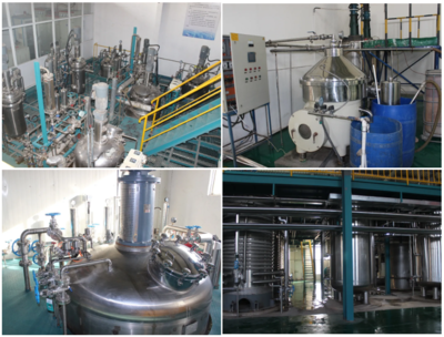 根力多生物科技新突破 年產五萬噸微生物菌劑及五千噸氨基酸水溶肥項目成功試車，引領生物有機肥料研發新浪潮